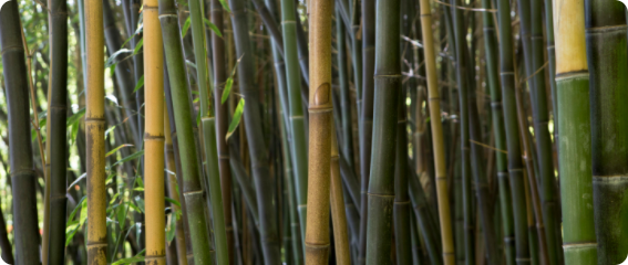 Первый блок - Изображение